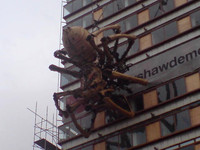 Spider in the City 2008