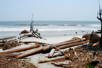 Hunting Island state park