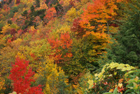 Blue Ridge - Park Way 09