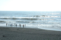 Pacific Coast