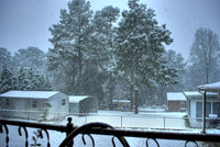 Augusta Snow